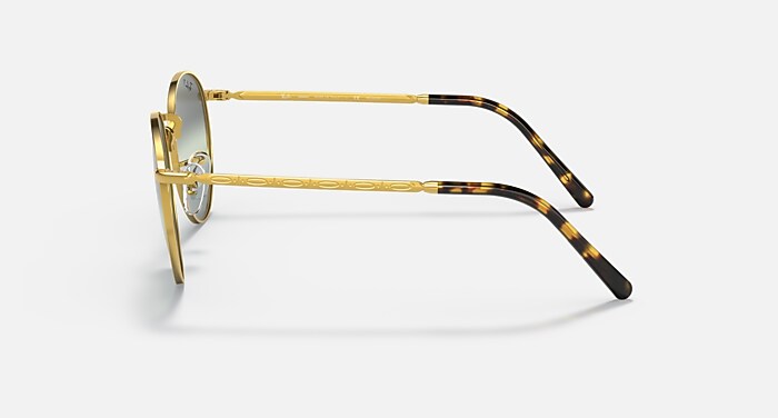 NEW ROUND POLARIZED+ LENSES Sunglasses in Gold and Silver/Green