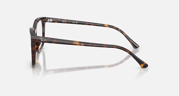 RB5446 OPTICS Eyeglasses with Havana and Clear (53-19) - RB5446F