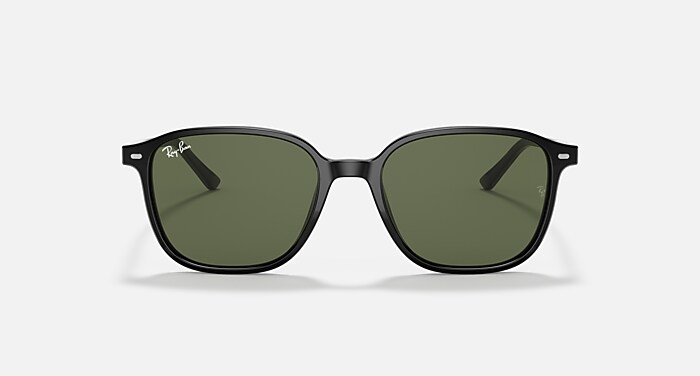 LEONARD Sunglasses in Black and G-15 Green (53-18) - RB2193 | Ray