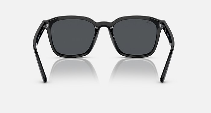 レイバン公式ストア】 Ray-Ban® RB4392D サングラス | ブラック X