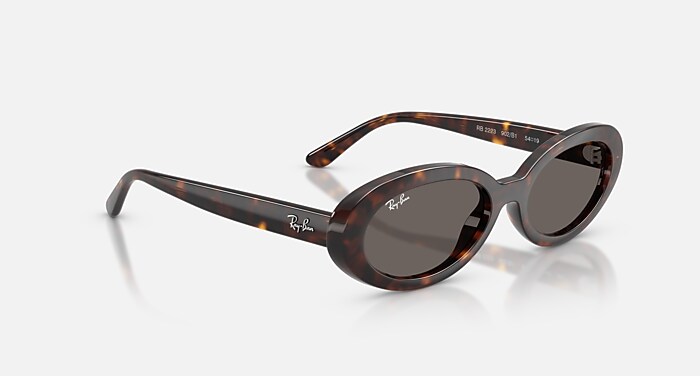 RB2223 Sunglasses in Havana and Dark Grey (54-19) - RB2223 | Ray