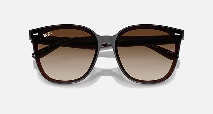 RB4423D Sunglasses in Transparent Brown and Brown - RB4423D | Ray 