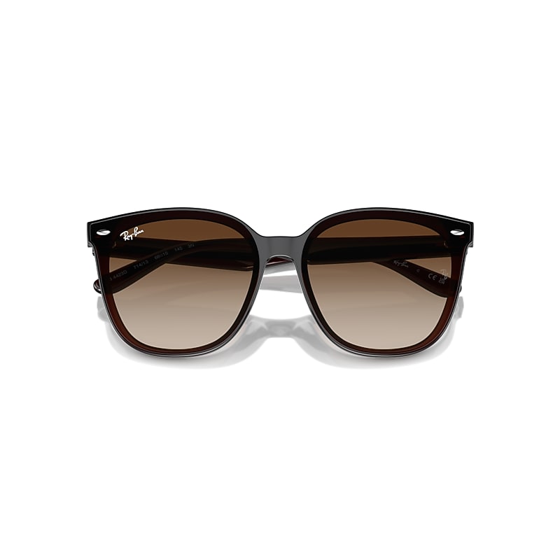 RB4423D Sunglasses in Transparent Brown and Brown - RB4423D | Ray