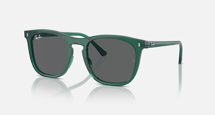 RB4259 Sunglasses in Black and Brown (53-20) - RB4259F | Ray-Ban® US