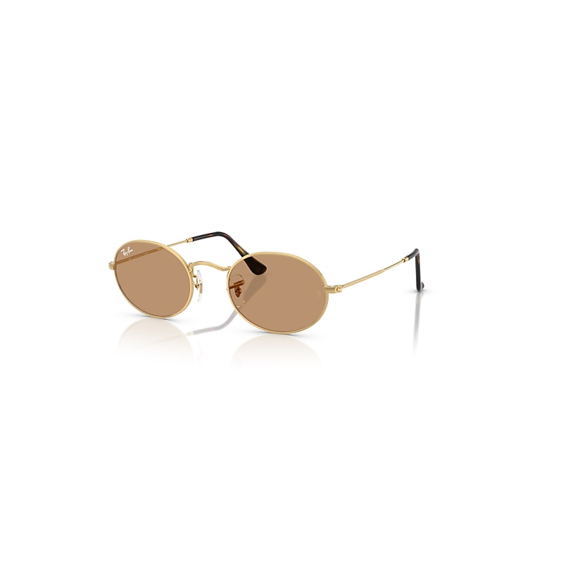 Ray-Ban Oval Metal Summer Capsule Gafas De Sol Oro Arista Montura Marrón Lentes 51-21, RB3547