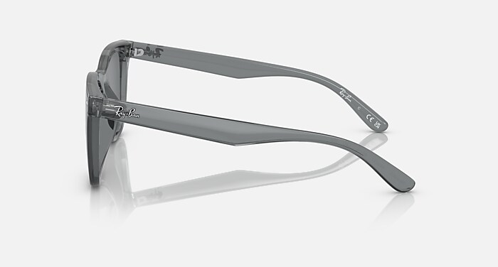 レイバン公式ストア】 Ray-Ban® RB4391D サングラス 