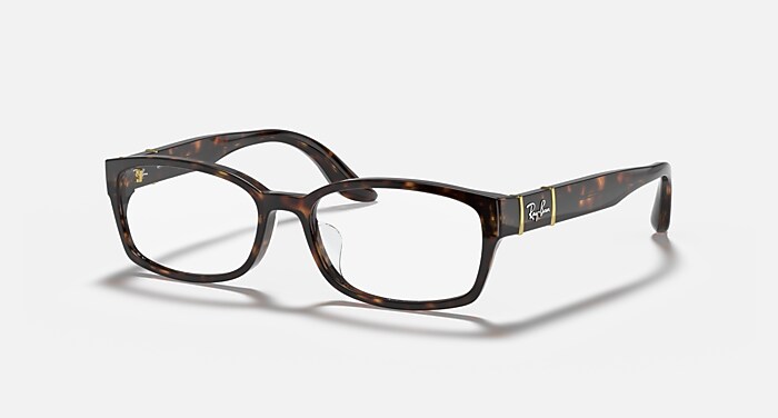 【ReVision】RB5198-2000-REGGY　リビジョン　Gグレー RB5198 OPTICS Eyeglasses with Tortoise and Clear (53-16) - RB5198