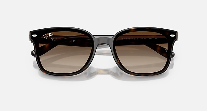 RB4461D Sunglasses in Havana and Gradient Brown - RB4461D | Ray 