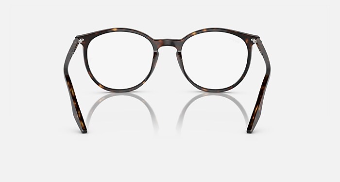 RB2204 TRANSITIONS® Sunglasses in Havana and Clear/Green - RB2204