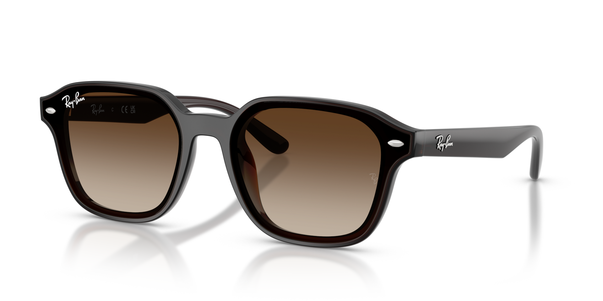 RB4458D Sunglasses in Transparent Dark Brown and Gradient Brown