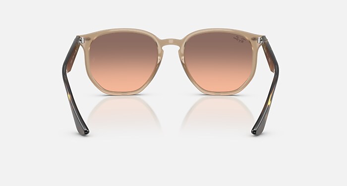 レイバン公式ストア】 Ray-Ban® RB4306 サングラス | タートルダヴ X