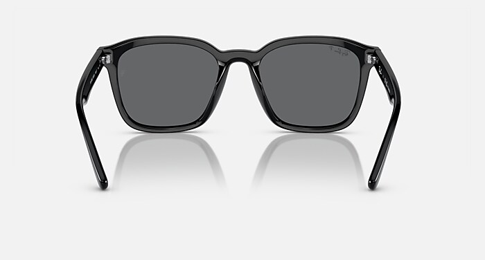 レイバン公式ストア】 Ray-Ban® RB4392D サングラス | ブラック X 