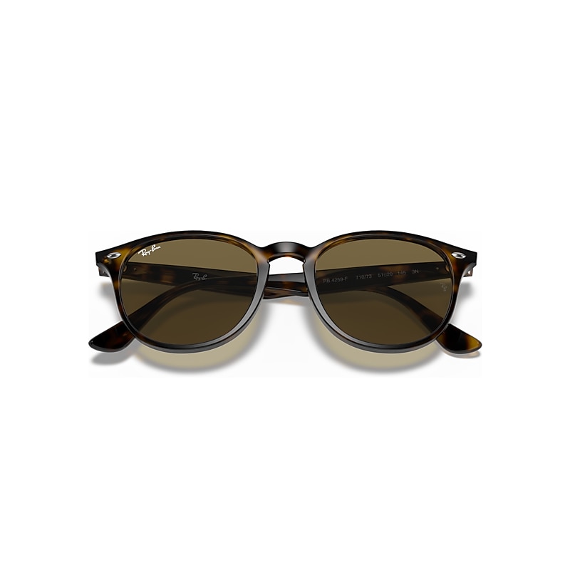 RB4259 Sunglasses in Light Havana and B-15 Brown (53-20) - RB4259F RB4259 Sunglasses in Light Havana and B-15 Brown (53-20) - RB4259F