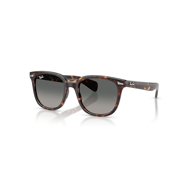 Ray-Ban Brunel II Zonnebrillen Havana Montuur Grijs Glazen 53-20