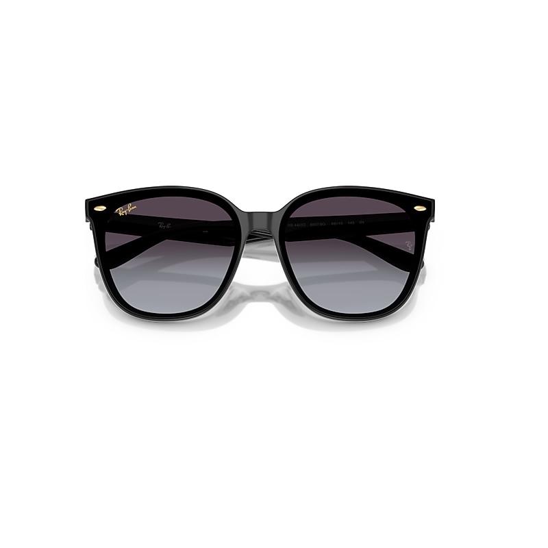 RB4423D YEAR OF THE SNAKE EDITION Sunglasses in Black and Grey