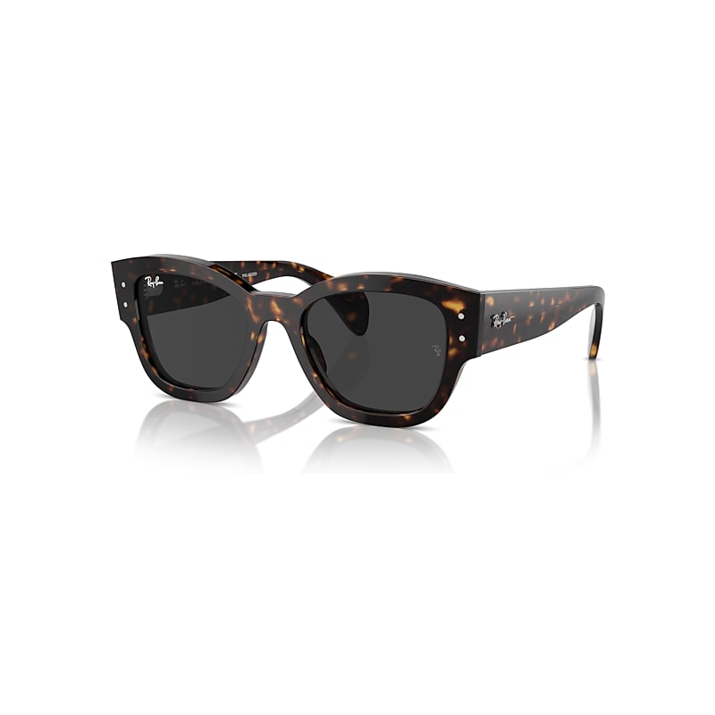 Ray-Ban Sunglasses  Jorge - Havana Frame Black Lenses Polarized 52-20, RB7681S