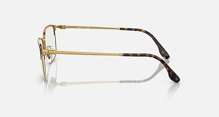 RB6494 OPTICS Eyeglasses with Havana On Gold Frame - RB6494 | Ray
