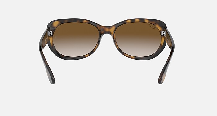 RB4325F Sunglasses in Light Havana and Polarized Brown Gradient
