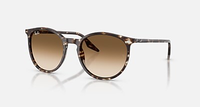 RB2204 Sunglasses in Havana On Transparent and Brown Polarized