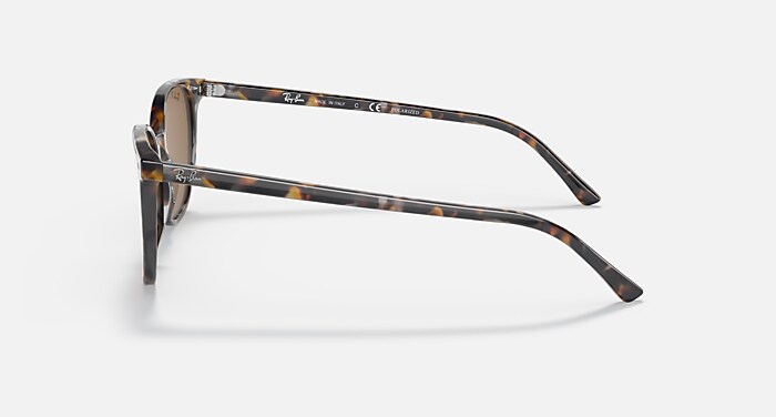 ELLIOT Polarized Sunglasses in Havana Brown Grey and Brown