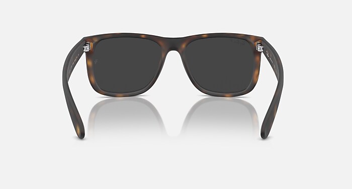 JUSTIN CLASSIC Sunglasses in Havana and Dark Grey Polarized