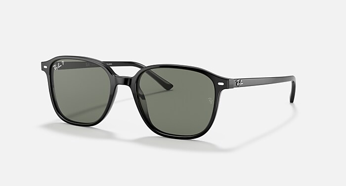LEONARD Sunglasses in Black and G-15 Green Polarized - RB2193