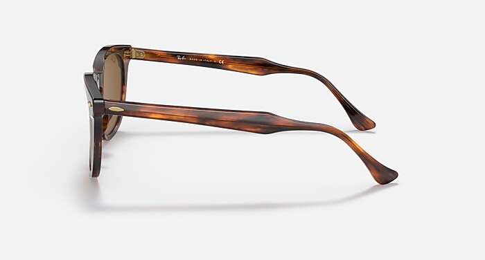 HAWKEYE Sunglasses in Striped Havana and Brown - RB2298 | Ray-Ban® US