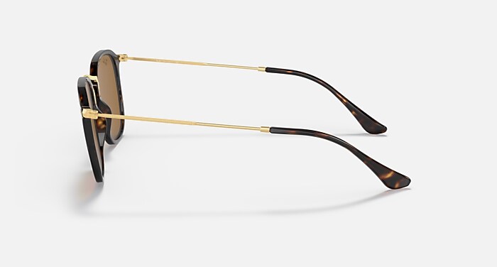 RB2448N Sunglasses in Tortoise and B-15 Brown - RB2448NF | Ray-Ban
