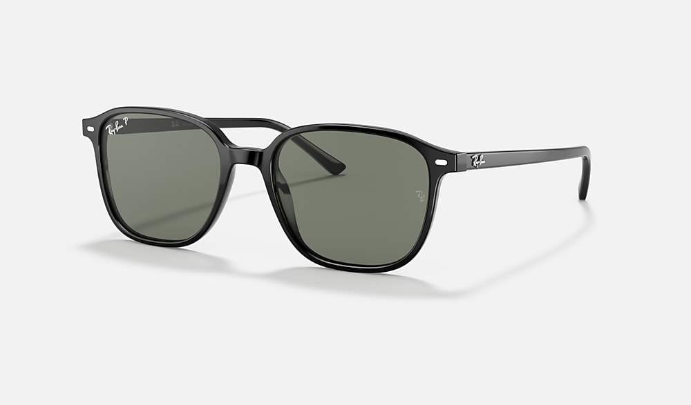 LEONARD ポラライズド（偏光） サングラス ブラック と G-15 グリーン