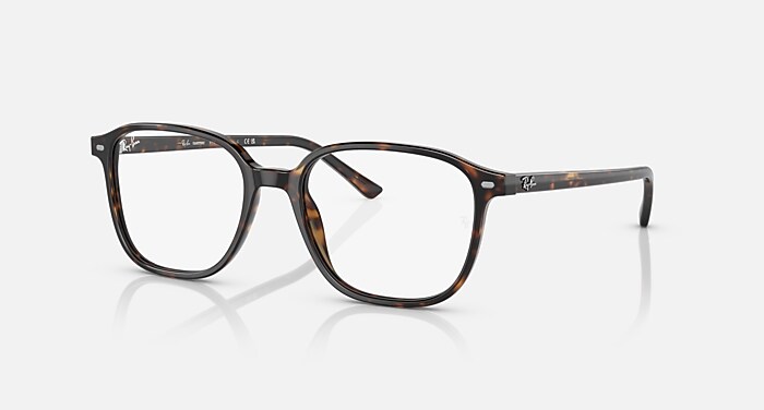 LEONARD TRANSITIONS® Sunglasses in Havana and Clear/Grey - RB2193