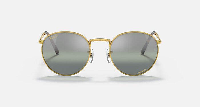 NEW ROUND POLARIZED+ LENSES Polarized Sunglasses in Gold and