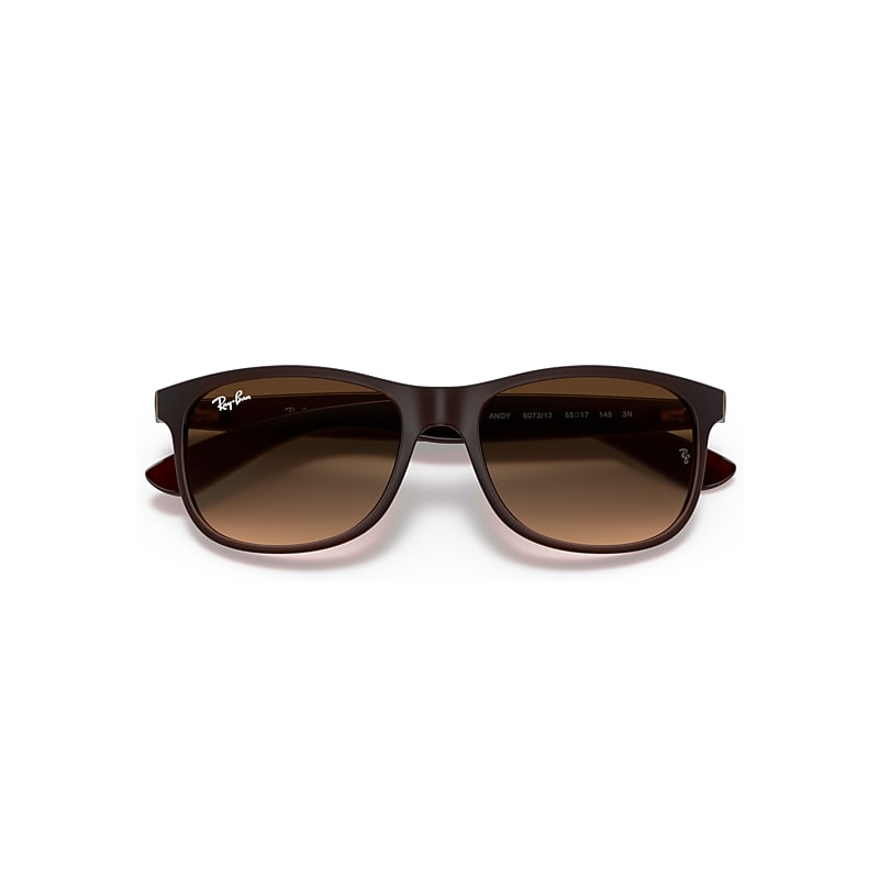 Ray-Ban RB4202 Andy 607313 Men's Sunglasses Brown Size 55