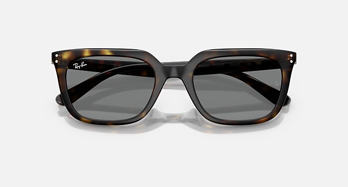 RB4439D Sunglasses in Havana and Dark Grey (54-21) - RB4439D | Ray