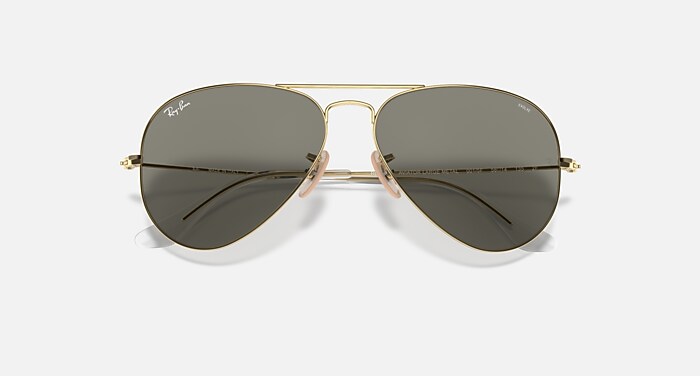 AVIATOR CLEAR EVOLVE Everglasses Dourado-arista e Cinza