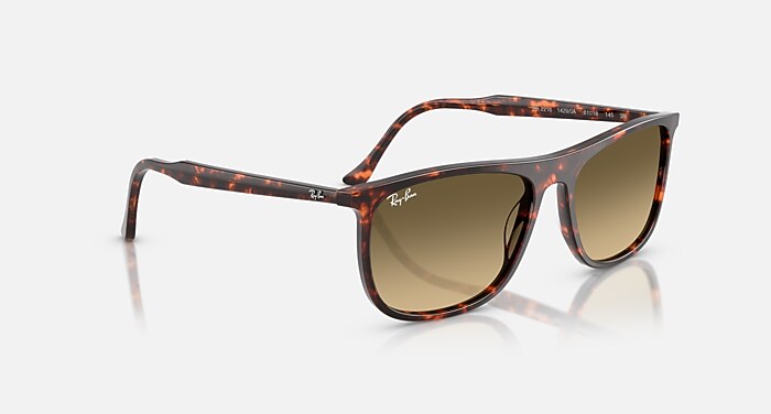 RB2216 Sunglasses in Havana Red Turtle and Brown Vintage  display picture 1