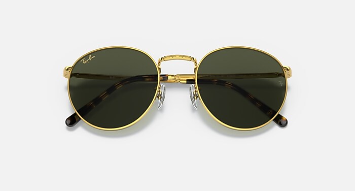 NEW ROUND Sunglasses in Gold and Green (50-21) - RB3637 | Ray-Ban® US
