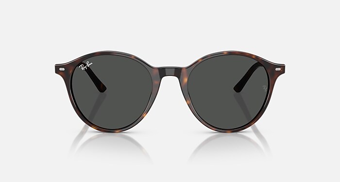RB2230 TRANSITIONS® Sunglasses in Havana and Transitions 8 Grey