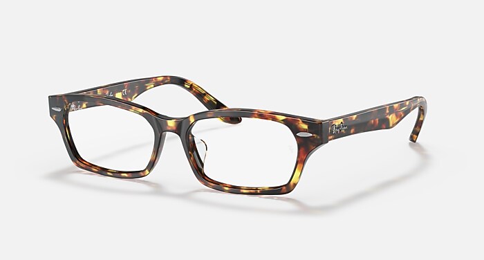 RB5344 OPTICS メガネ ハバナ と デモレンズ (55-16) - RB5344D