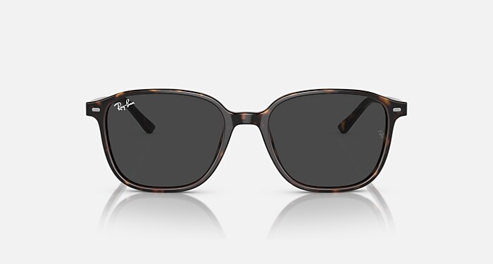 レイバン　Ray-Ban LEONARD サングラス　ユニセックス LEONARD TRANSITIONS® サングラス ハバナ と クリア/グレー (51-18