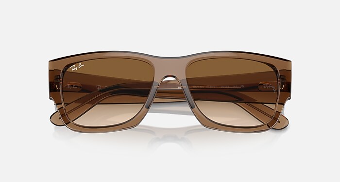CARLOS Sunglasses in Transparent Light Brown and Clear & Brown (56
