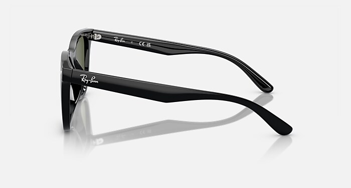 K　レイバン RB4420 Sunglasses in Black and Dark Green Polarized - RB4420 | Ray