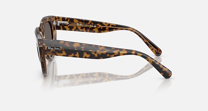 DOREEN Sunglasses in Havana On Transparent Brown and Dark Grey (52