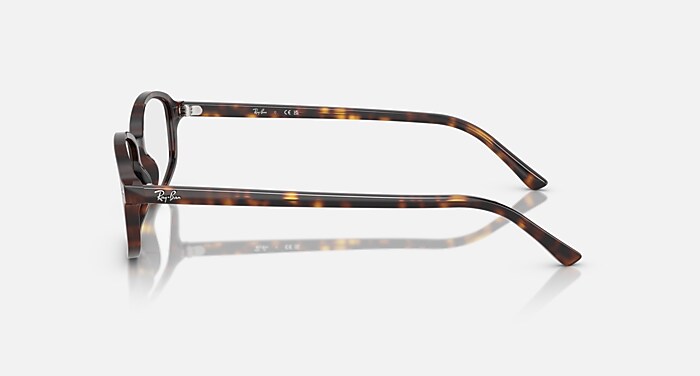 SAM OPTICS Eyeglasses with Havana and Clear (52-19) - RB5432 | Ray