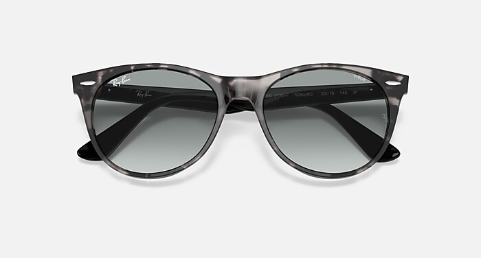 WAYFARER II CLASSIC Sunglasses in Grey Havana and Photochromic