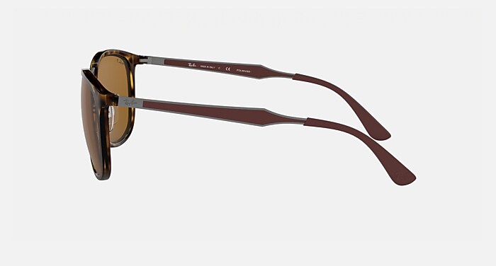 rai RB4299 Sunglasses in Light Havana and Brown Polarized - RB4299