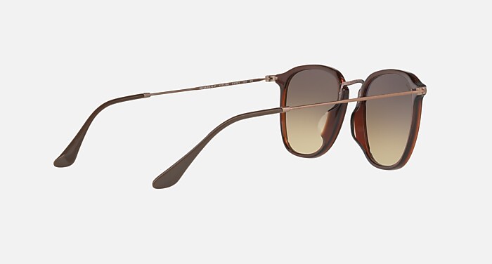 RB2448NF FLAT LENSES Sunglasses in Transparent Brown and Silver