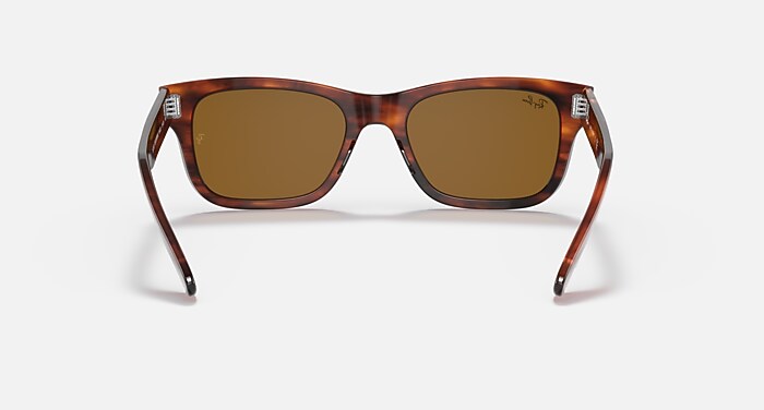 BURBANK Sunglasses in Striped Havana and B-15 Brown (52-20