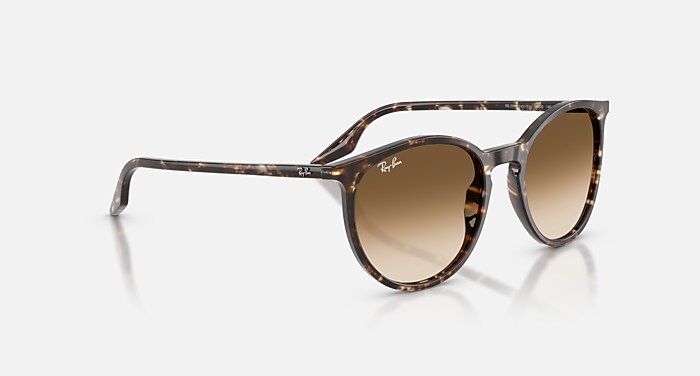 RB2204 Sunglasses in Havana Yellow Turtle and Clear Gradient Brown