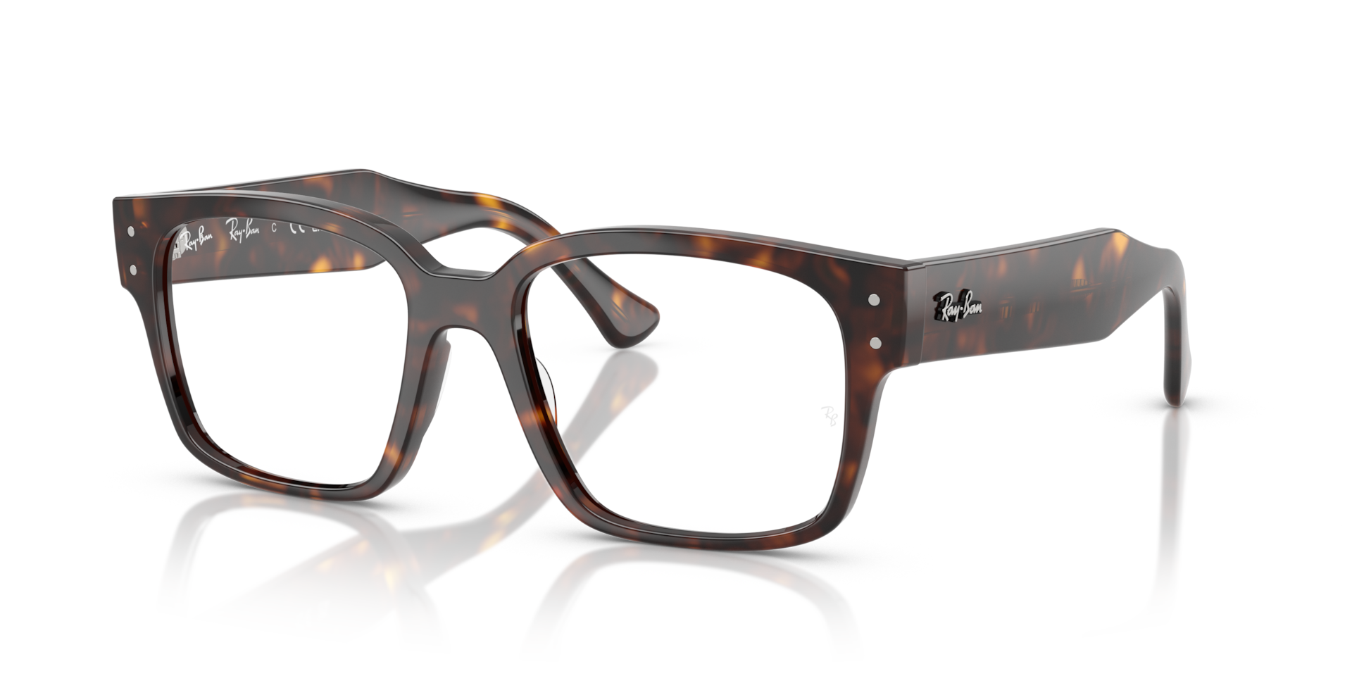 LAURENE OPTICS BIO-BASED Eyeglasses with Havana Frame - RB7256F 