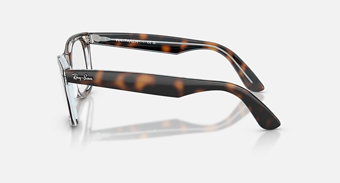 WAYFARER EASE OPTICS Eyeglasses with Dark Havana On Multicolor